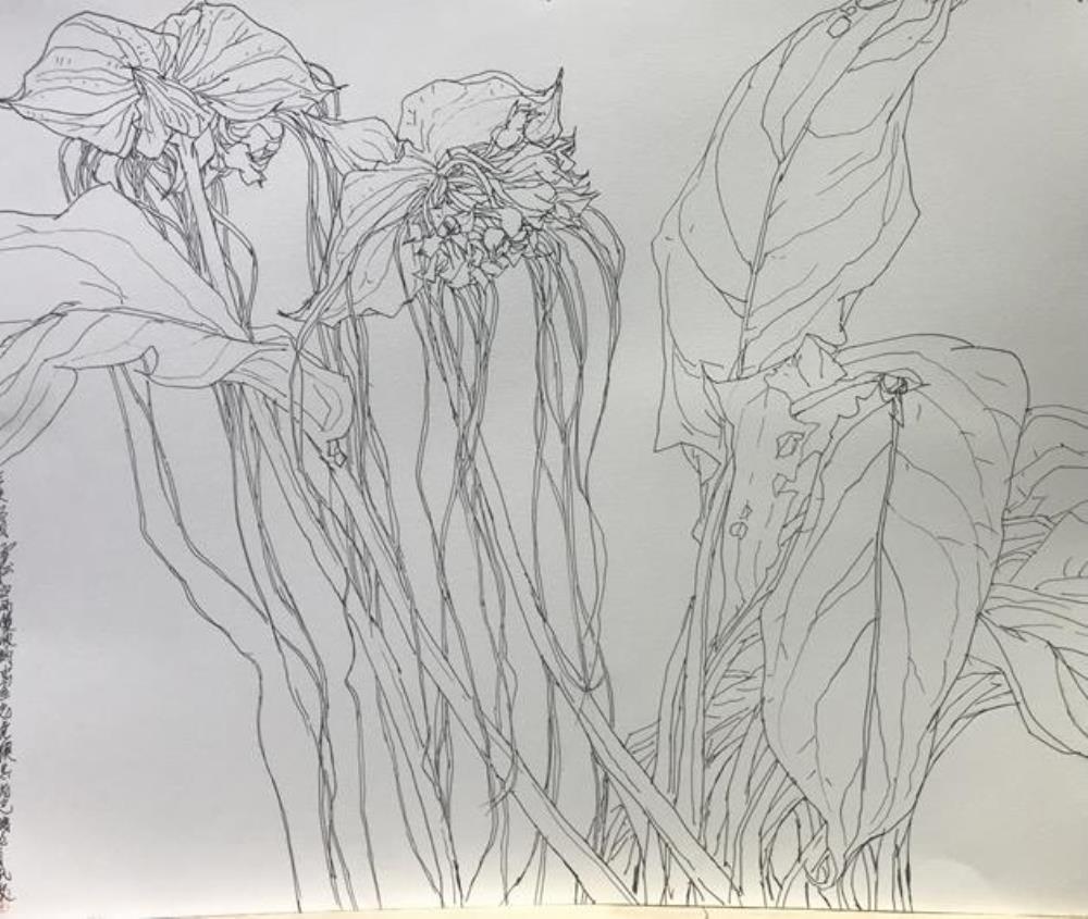 《花卉草虫册稿之 2》作者：李雪松创作年代：2020规格：37×45cm品类：纸本