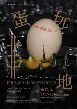 童昆鸟——蛋玩非地
