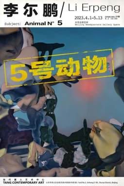 李尓鹏——5号动物