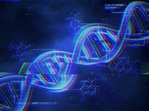 可穿戴生物技术增强项目