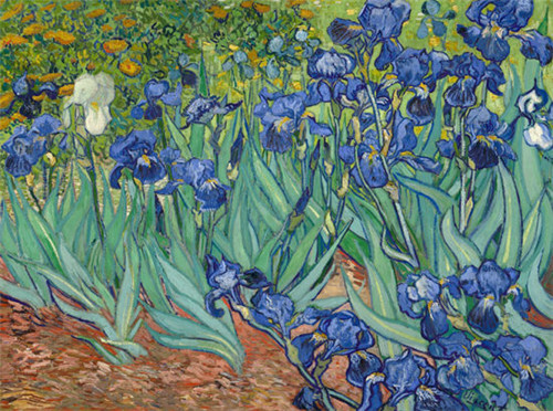 《鸢尾花》(Irises，1889)，5390万美元