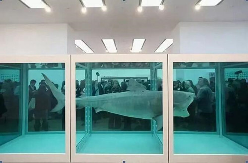 前来观看Damien Hirst作品《生者对死者无动于衷》的人群