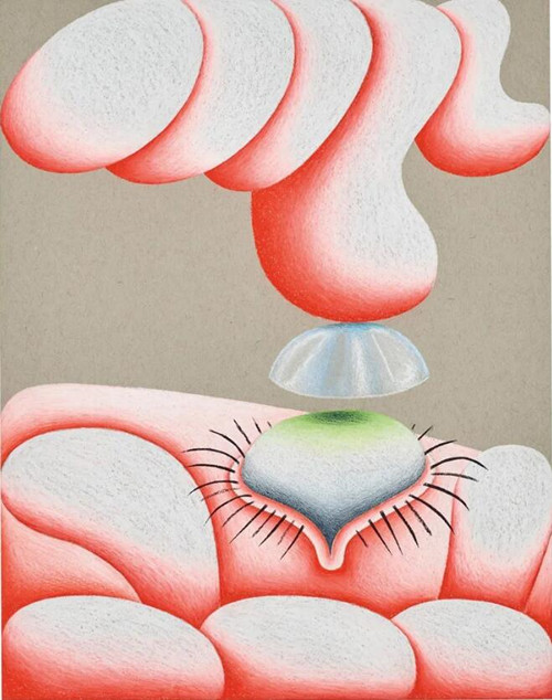 埃莉诺‧索迪（1987年生） 《接触》，粉彩 纸本，35.6 x 27.9 cm.，2021年作，估价：3,000 - 5,000 英镑。此作将于7月2日佳士得伦敦 《战后及当代艺术（日间拍卖）》 中呈献