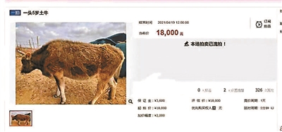 活物拍品谁来养？活物拍品的“正确打开方式”