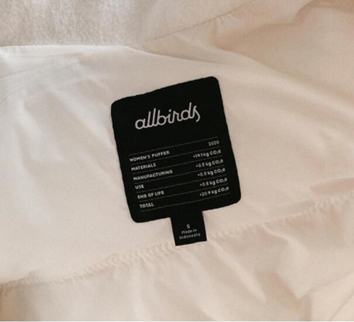 ©️ Allbirds