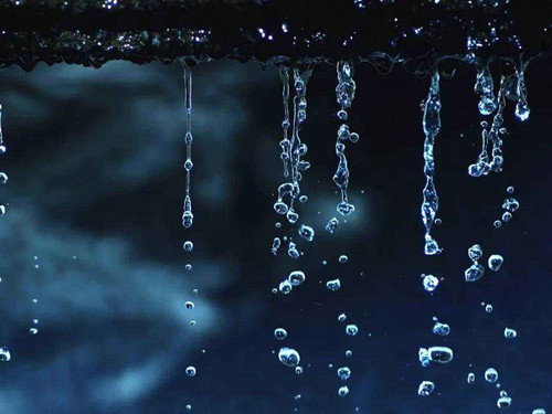 春天的浪漫尽在“雨水”之中