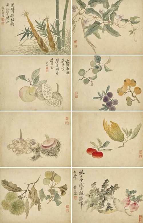 拍品编号881
