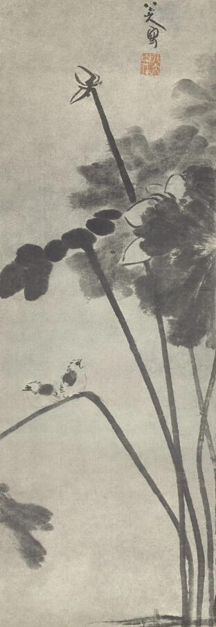 八大山人《荷花双鸟》