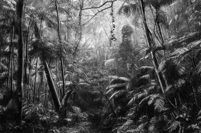 卡西欧·瓦斯康切洛斯 《穿越巴西如画风景之旅》系列之三十七，2015，棉纸喷墨印画
