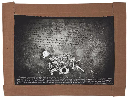 《恐怖，恐怖》比尔德的死象系列图片来源：Peter Beard/Estate of Peter Beard