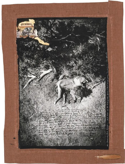 《释放》 彼得·比尔德（PeterBeard）70年代拍摄的一张照片