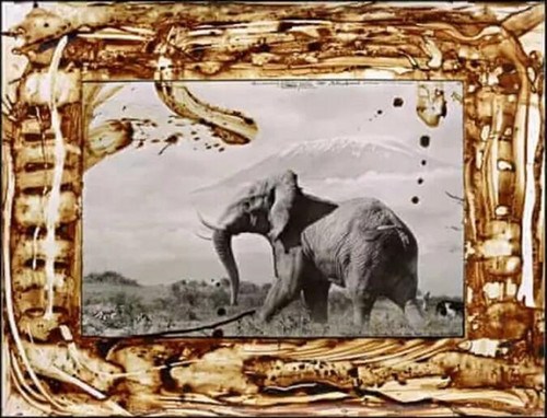 《灰巨人》1984/2008年拍摄图片来源：Peter Beard/Estate of Peter Beard