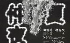 多元∞计划：2022第三回“仲夏夜之梦——谭雷鸣·林聪文双个展”将在江苏省美术馆展出