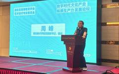 洞察数字时代  激活文化产业新质生产力——校长周峰参加湖北省高等教育学会艺术设计专业委员会数字时代文化产业新质生产力发展论坛