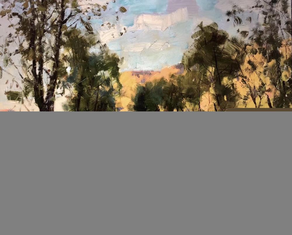 绘画系教授王铁牛风景静物作品欣赏（图）