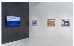 鸽之舞：胡西丹·克里木作品展亮相索卡艺术中心