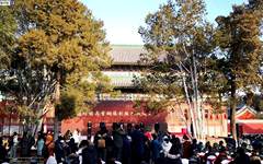 欢迎回家！阔别160年 马首回归圆明园