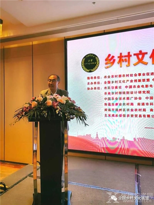 激发文化产业活力 助推乡村全面振兴 ——乡村文化产业创新座谈会暨美丽乡村艺术行活动在江苏南通举办