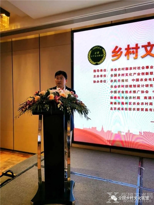 激发文化产业活力 助推乡村全面振兴 ——乡村文化产业创新座谈会暨美丽乡村艺术行活动在江苏南通举办