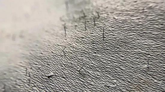 新年的第一次艺术体验，从这14场跨年大展开始