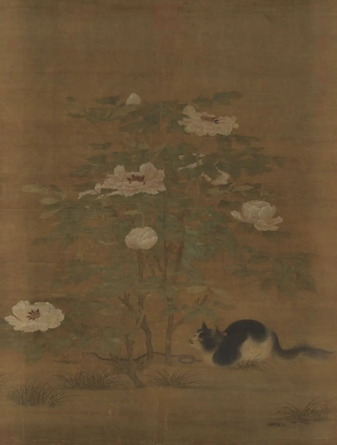 [宋]佚名富贵花狸图（局部）绢本设色 141cm×107.5cm台北“故宫博物院”藏