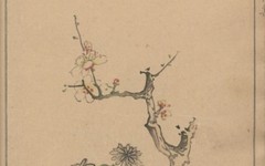 《十竹斋笺谱》：图像中的古典知识体系