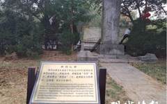 世界文化遗产明孝陵神烈山碑遭非法描红