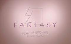 鸥洋杨缨双个展在广东美术馆开展