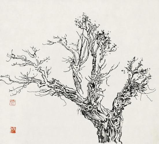 张仃《胡杨》 纸本焦墨 38厘米×35厘米 1981年