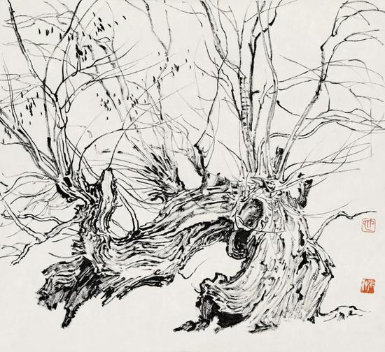 张仃《胡杨》 纸本焦墨 38厘米×35厘米 1981年