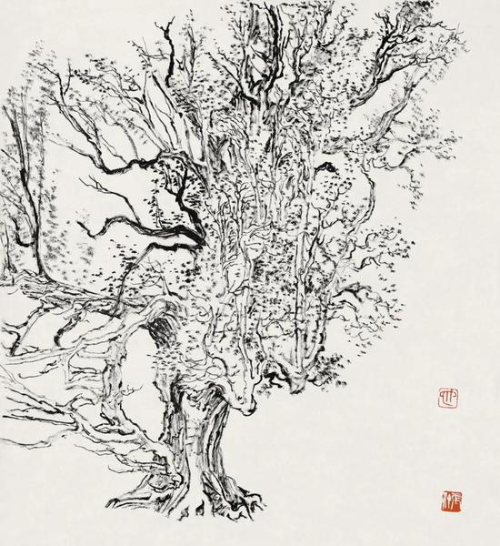 张仃《胡杨》 纸本焦墨 38厘米×35厘米 1981年