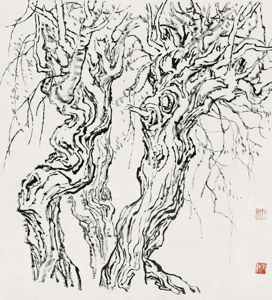 张仃《胡杨》 纸本焦墨 38厘米×35厘米 1981年