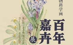 河北博物院：特展·云约会|《百年嘉卉——北疆博物院藏植物科学画展》