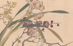 国博珍藏云欣赏 | 携一卷《百花图》邀您“云”赏花