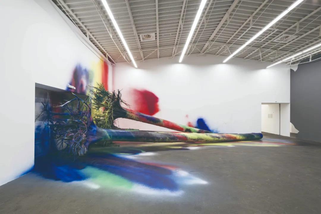20201019110000_7637.jpg