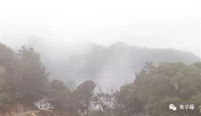 闽壑烟岚——以梁明代表人物的大泼彩山水画诗书画交融漫谈