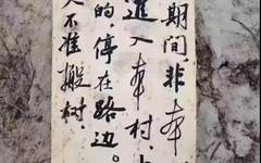 《疫情帖》《别来我家帖》，为啥火了？