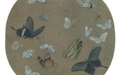 宋代小品画⑨：蛱蝶小品画