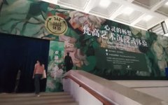 国博360&amp;#176全景技术还原200幅原作 打造梵高沉浸展