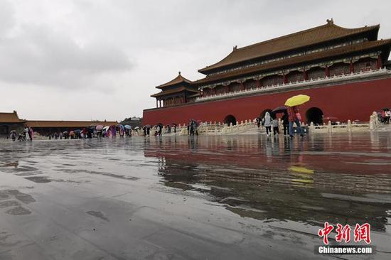 故宫的屋顶真的无法落鸟 琉璃瓦反光限制鸟类停留