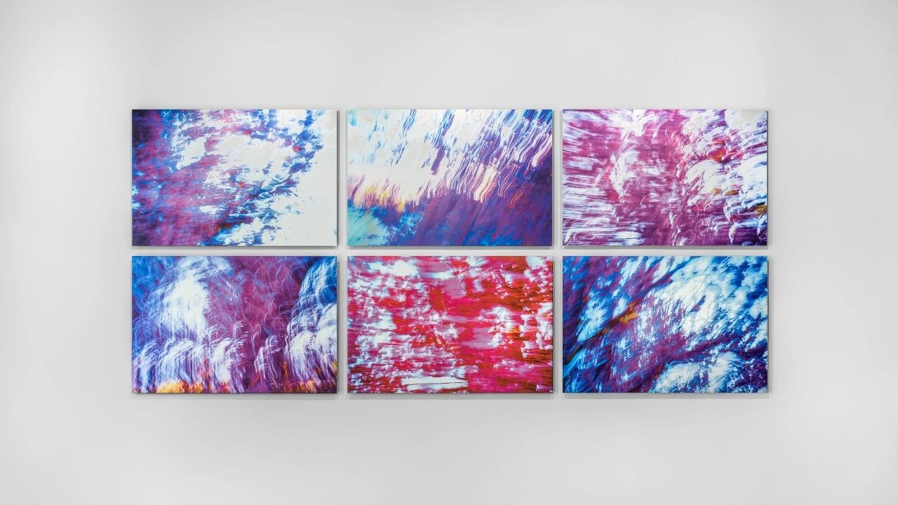 陈漫《繁花》系列作品，松美术馆展厅