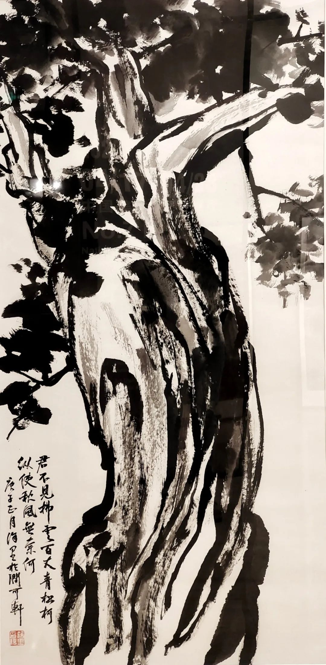 徐里水墨柏树
