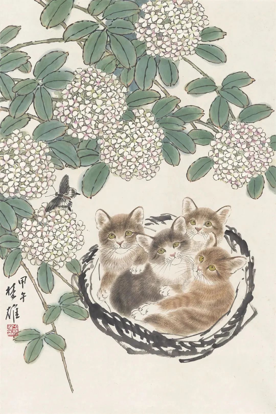 方楚雄　绣球花猫
