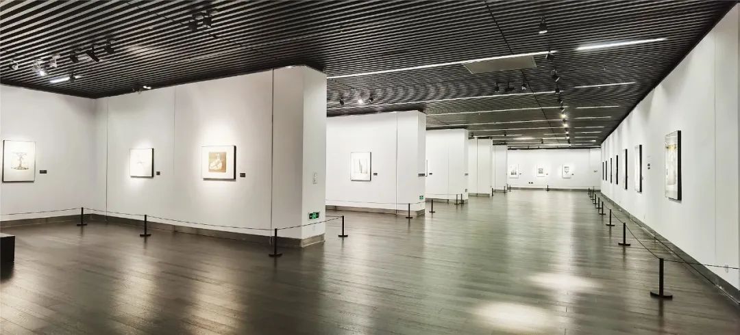锋利的快意——杨锋版画作品展展厅现场