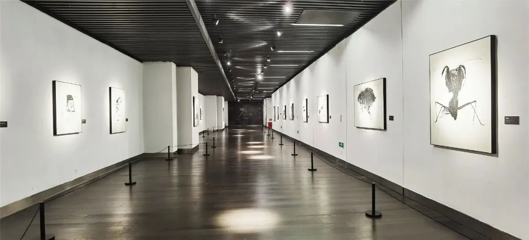 锋利的快意——杨锋版画作品展展厅现场