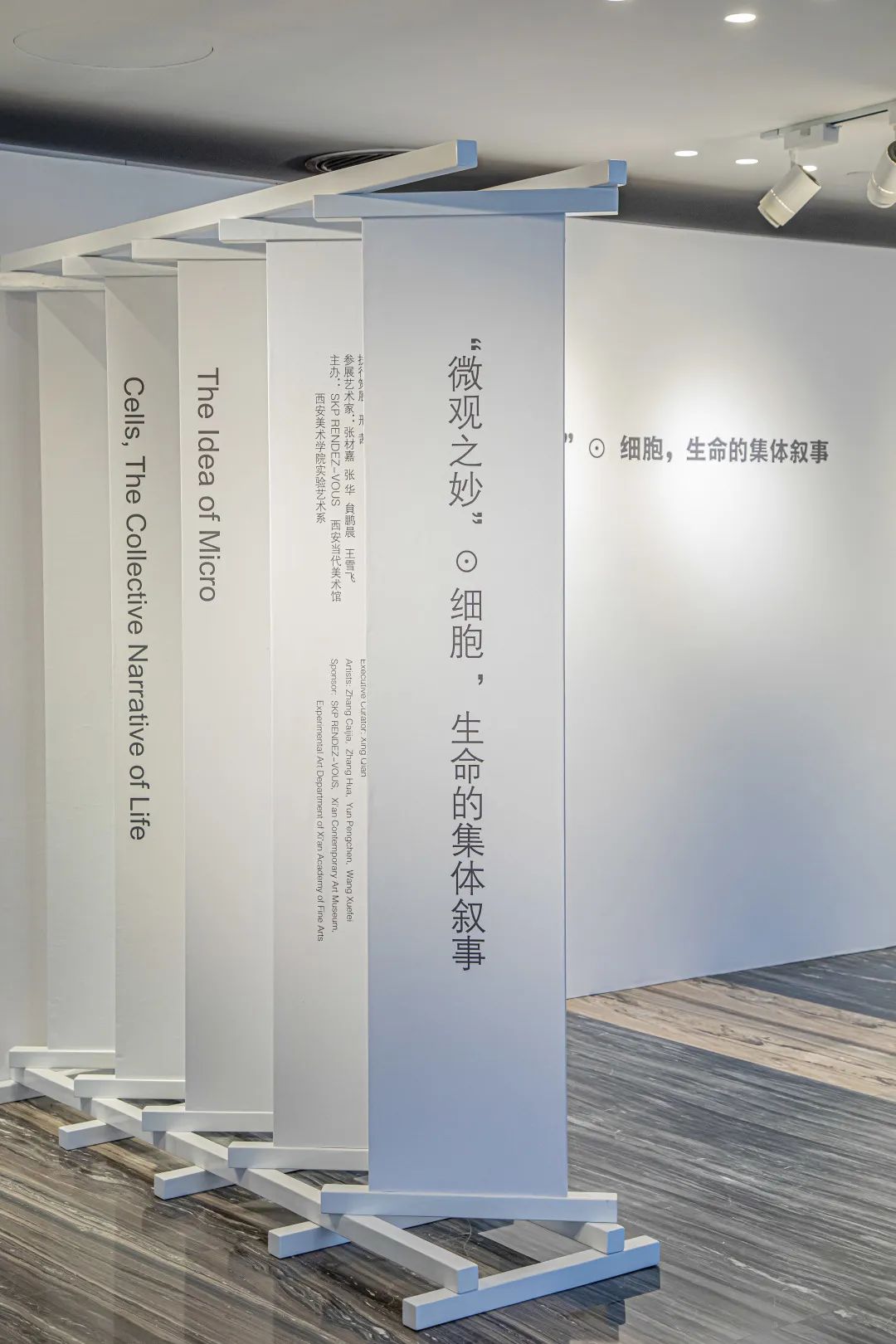 展览现场
